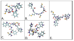  Figure 3.4: Ligands created with DockoMatic